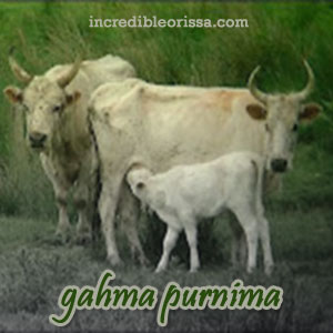 Gahma Purnima 2012 Date