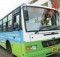 Dream Team Sahara City bus services