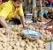 Potato price in Odisha