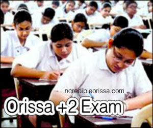 Odisha plus two exam 2014 on March 3
