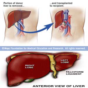Liver transplantation unit in SCB soon