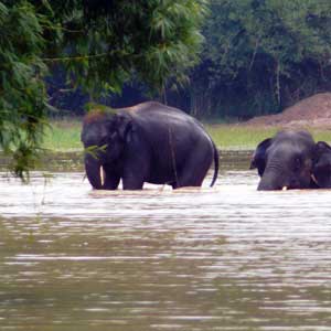 Ecotourism in Odisha set for a boost
