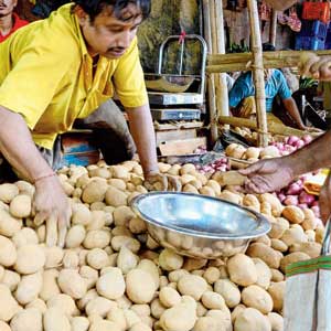 Potato price in Odisha skyrockets