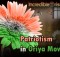 Patriotism in Oriya Films