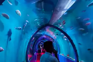 Baliyatra Tunnel Aquarium Video – Bali Jatra Under Water Aquarium