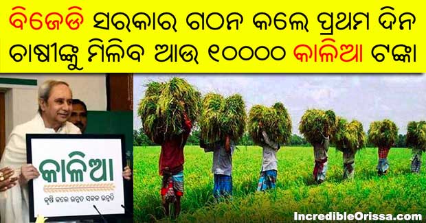 Odisha: Rs 10,000 KALIA assistance on first day of BJD Govt