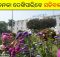 Odisha Secretariat flower garden