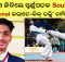 Odisha boy wins Karate-Kick Boxing Championship