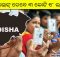 Number of voters in Odisha