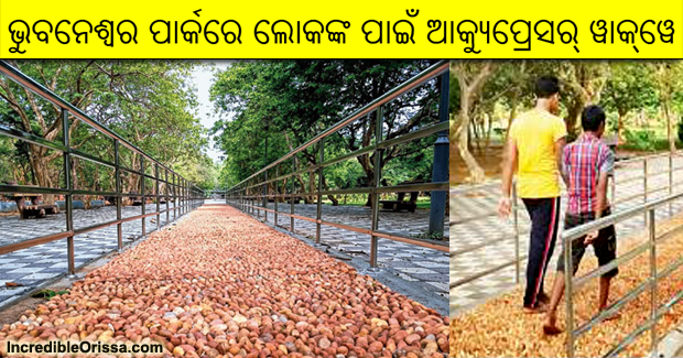 Bhubaneswar’s first acupressure walkway introduced at Forest Park