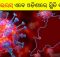 coronavirus odisha updates