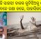 odisha boy saves girl from drowning