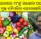 odisha pesticide and chemical free vegetables
