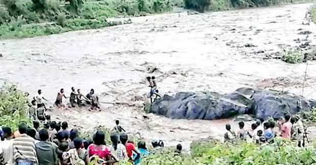 Odisha youths risk lives to rescue 5 kids stranded in swelling river