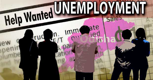 odisha unemployment