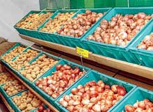 Onion and Potato in Odisha