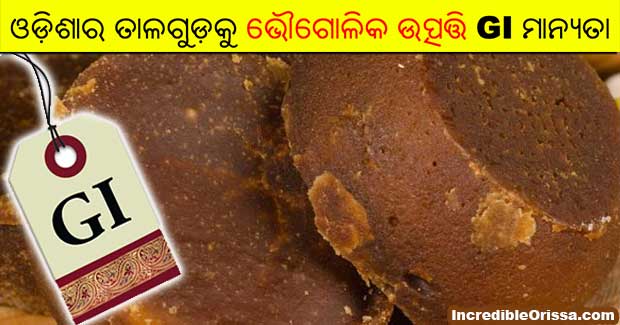 Odisha plans to apply for GI tag for palm jaggery after Rasagola