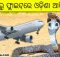 rescued king cobra odisha