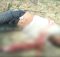 robbers thrashed to death by public