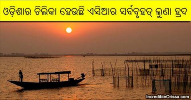 Asia’s largest saltwater lake is Chilika Lake in Odisha, India