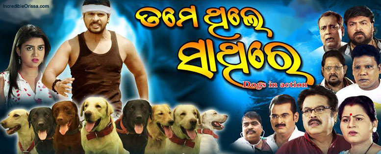 Tame Thile Sathire odia film poster